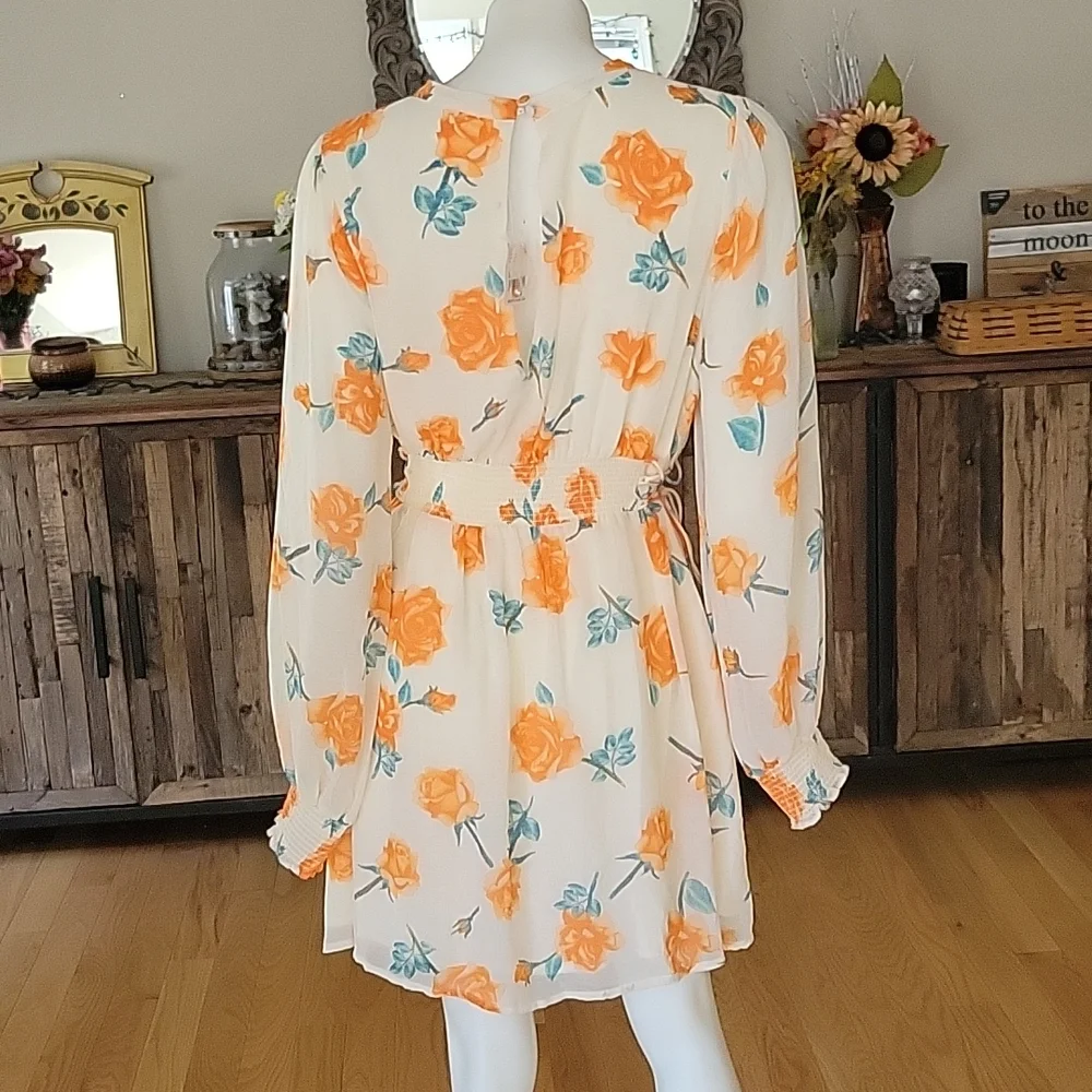 Free People Samantha Floral Print Long Sleeve Lace Up Mini Dress